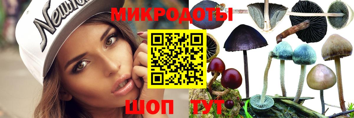 Псилоцибиновые грибы мицелий Тайшет