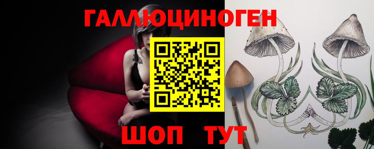 Тайшет  Псилоцибиновые грибы Cubensis  Вход с VPN 
